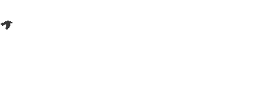 animazione volo uccellino